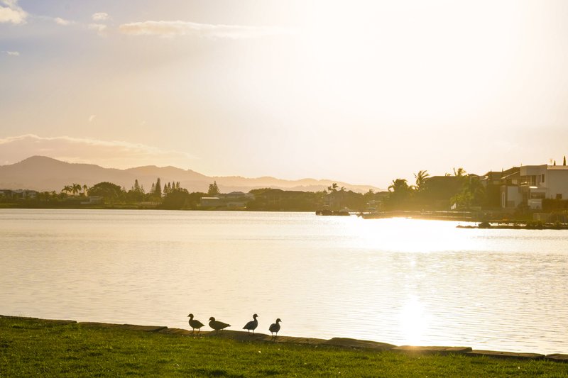 Photo - 85 Lake Serenity Boulevard, Helensvale QLD 4212 - Image 34
