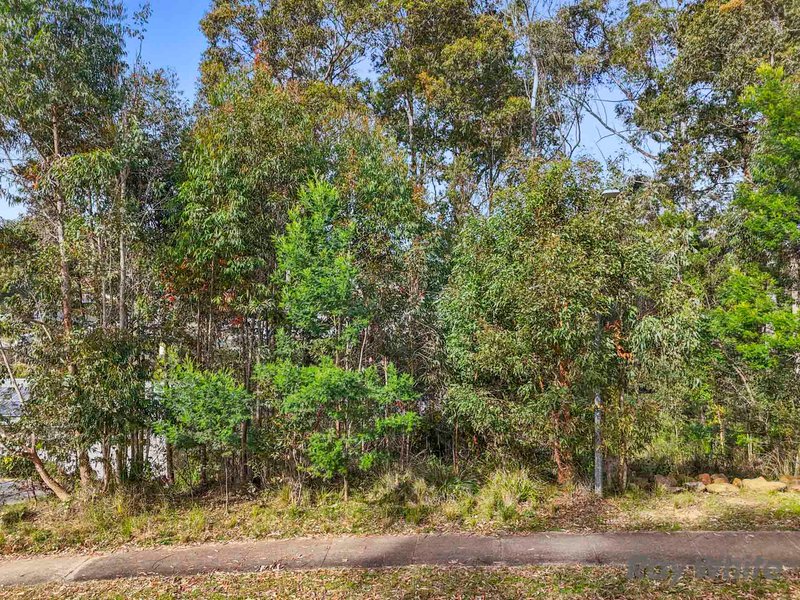 Photo - 85 Litchfield Crescent, Long Beach NSW 2536 - Image 5