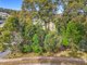 Photo - 85 Litchfield Crescent, Long Beach NSW 2536 - Image 6