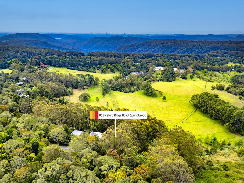 85 Lyrebird Ridge Road, Springbrook QLD 4213