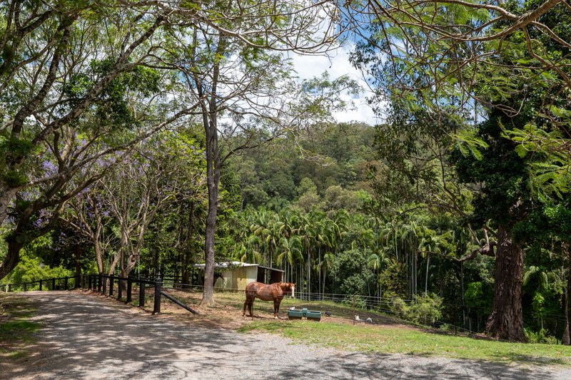 Photo - 85 Macdonald Road, Palmwoods QLD 4555 - Image 3