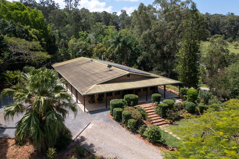 Photo - 85 Macdonald Road, Palmwoods QLD 4555 - Image 5