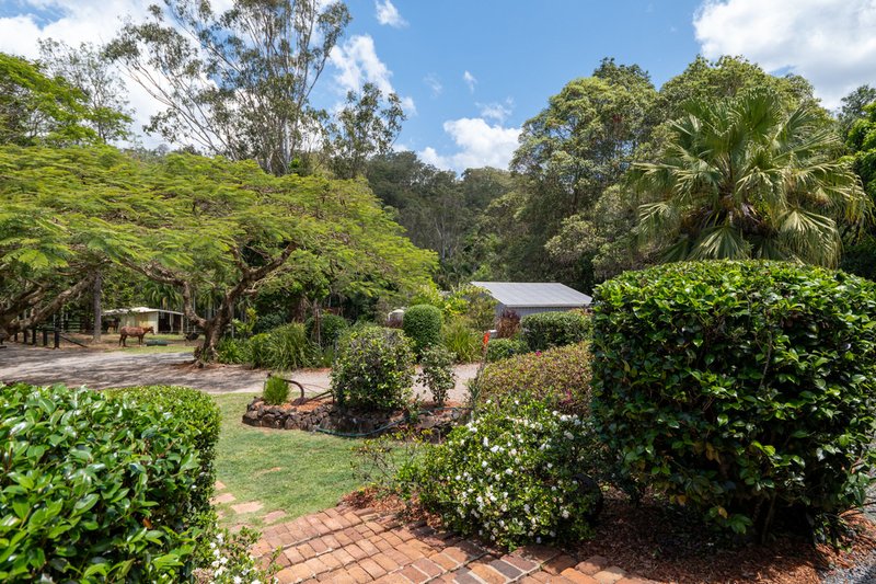 Photo - 85 Macdonald Road, Palmwoods QLD 4555 - Image 23