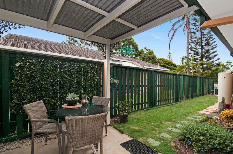 Photo - 85 Numbat Court East , Coombabah QLD 4216 - Image 7