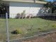 Photo - 85 Powell Street, Bowen QLD 4805 - Image 20