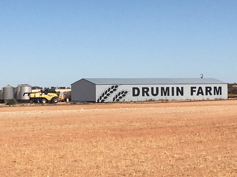 851 Koorda Kulja Rd Koorda WA 6475 Real Estate Industry Partners