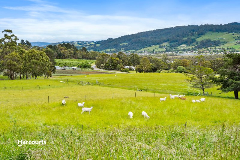Photo - 8520 Channel Highway, Woodstock TAS 7109 - Image 15