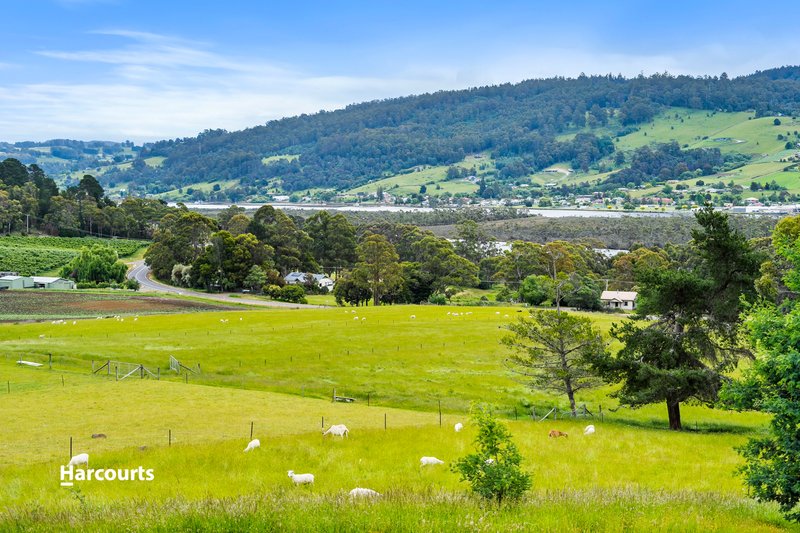 Photo - 8520 Channel Highway, Woodstock TAS 7109 - Image 26