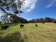 Photo - 853 Happy Valley Road, Kordabup WA 6333 - Image 1