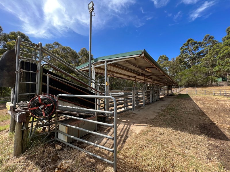 Photo - 853 Happy Valley Road, Kordabup WA 6333 - Image 8