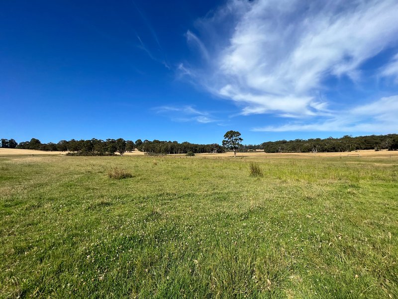 Photo - 853 Happy Valley Road, Kordabup WA 6333 - Image 22