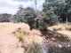 Photo - 855 Tyne Road, Mathinna TAS 7214 - Image 4