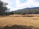 Photo - 855 Tyne Road, Mathinna TAS 7214 - Image 12