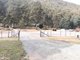Photo - 855 Tyne Road, Mathinna TAS 7214 - Image 14