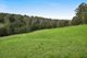 Photo - 856 Bells Line Of Road, Kurrajong Hills NSW 2758 - Image 9