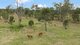 Photo - 856 Esk Crows Nest Road, Biarra QLD 4313 - Image 24