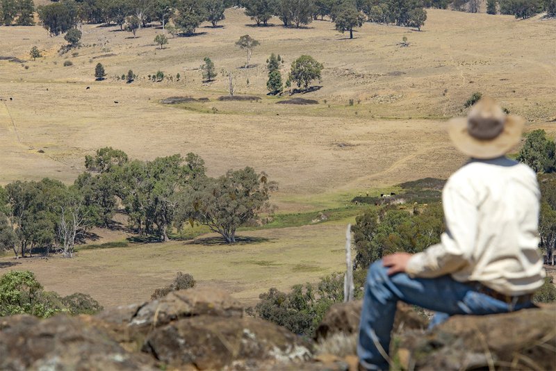 8569 Sunny-Brae  Newell Highway, Coonabarabran NSW 2357