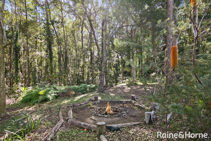 Photo - 86 Blueberry Drive, Black Mountain QLD 4563 - Image 16