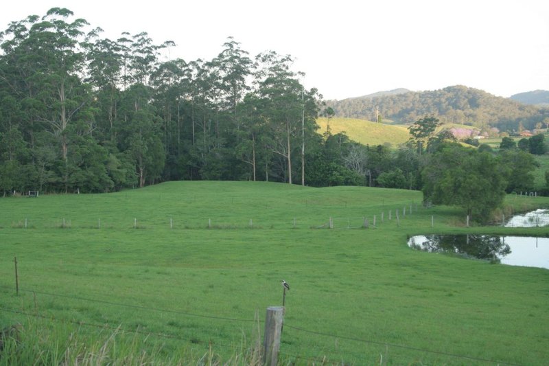 86 Butts Creek Rd , Taylors Arm NSW 2447