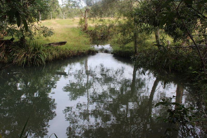 Photo - 86 Butts Creek Rd , Taylors Arm NSW 2447 - Image 16