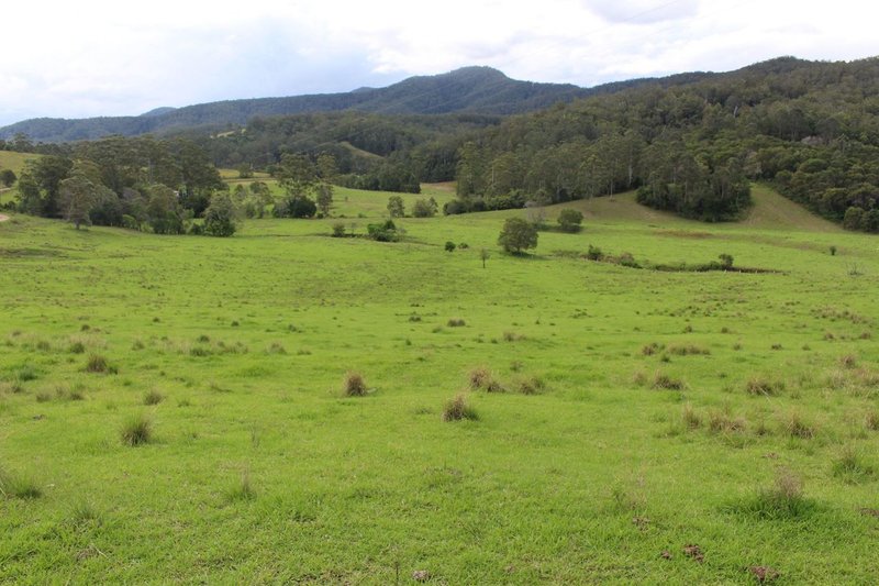 Photo - 86 Butts Creek Rd , Taylors Arm NSW 2447 - Image 18