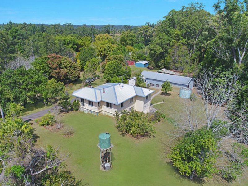 Photo - 86 Mckees Road, Palmwoods QLD 4555 - Image 5