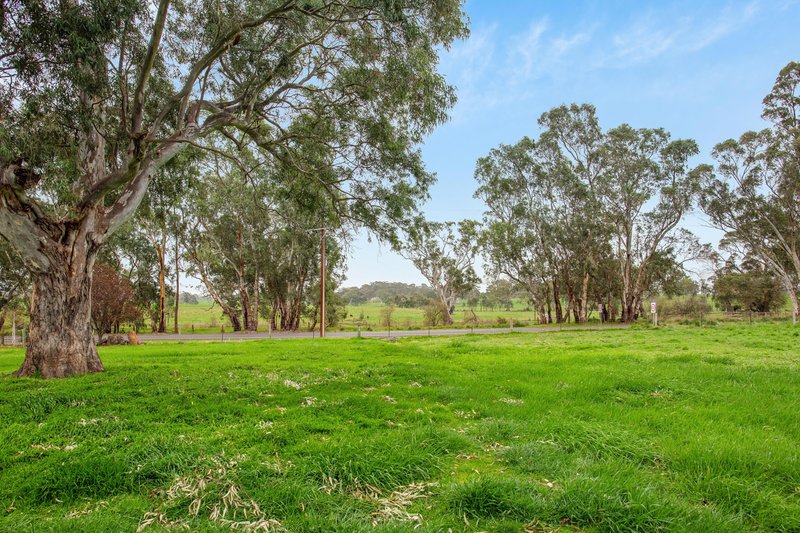 Photo - 86 Onkaparinga Valley Road, Charleston SA 5244 - Image 27