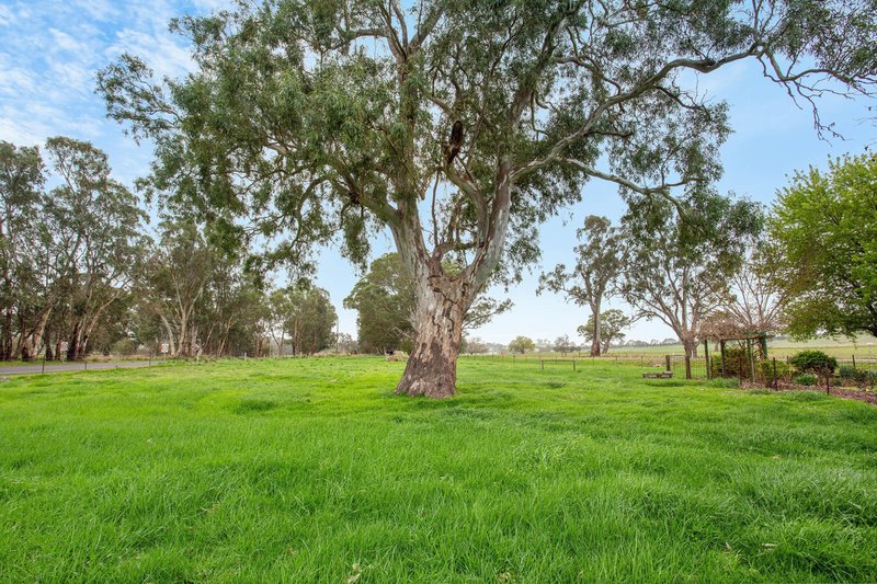 Photo - 86 Onkaparinga Valley Road, Charleston SA 5244 - Image 29