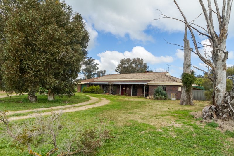 Photo - 86 Scrubby Rush Road, Cowra NSW 2794 - Image 14