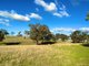 Photo - 86 Scrubby Rush Road, Cowra NSW 2794 - Image 17