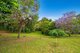 Photo - 86 Tallai Road, Tallai QLD 4213 - Image 6