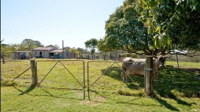 Photo - 860-866 Beenleigh Redland-Bay Road, Carbrook QLD 4130 - Image 4