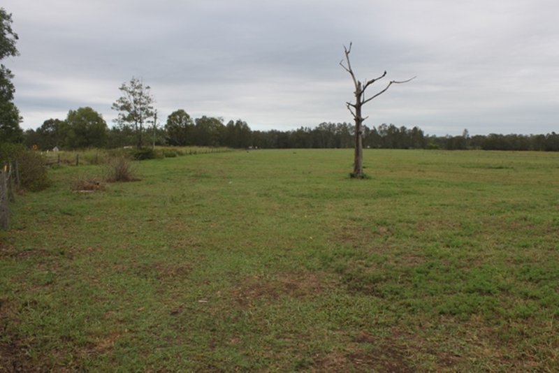 Photo - 861-921 Waterford Tamborine Rd , Buccan QLD 4207 - Image 3