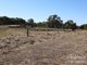 Photo - 8614 Murray Valley Highway, Echuca Village VIC 3564 - Image 22