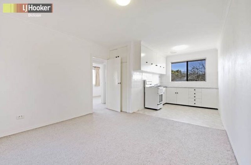 Photo - 8/62 Knox Street, Watson ACT 2602 - Image 4