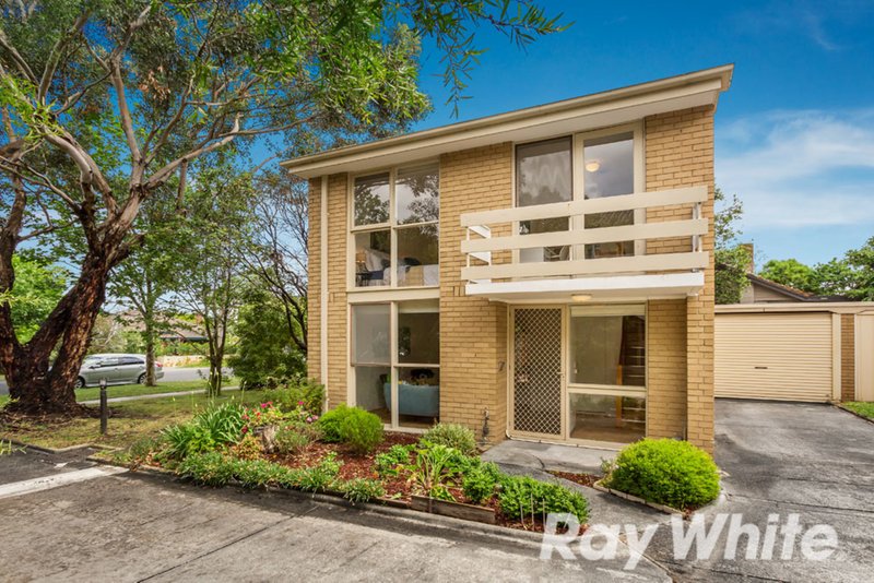 8/65-67 Albion Road, Box Hill VIC 3128