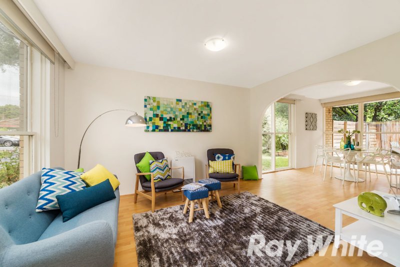 Photo - 8/65-67 Albion Road, Box Hill VIC 3128 - Image 3