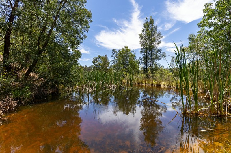 Photo - 866 Reedy Swamp Road, Chinnock NSW 2550 - Image 17