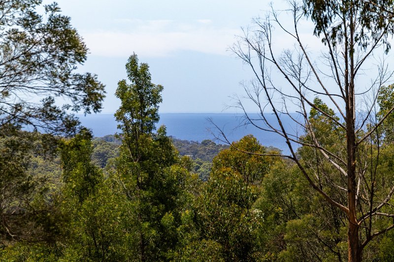 Photo - 866 Reedy Swamp Road, Chinnock NSW 2550 - Image 18