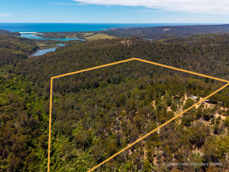 Photo - 866 Reedy Swamp Road, Chinnock NSW 2550 - Image 19