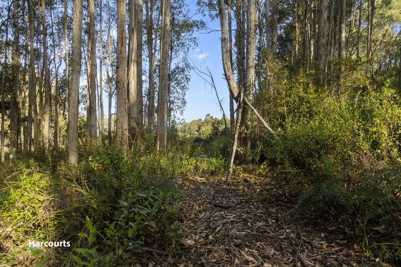 Photo - 8692 Huon Highway, Southport TAS 7109 - Image 5