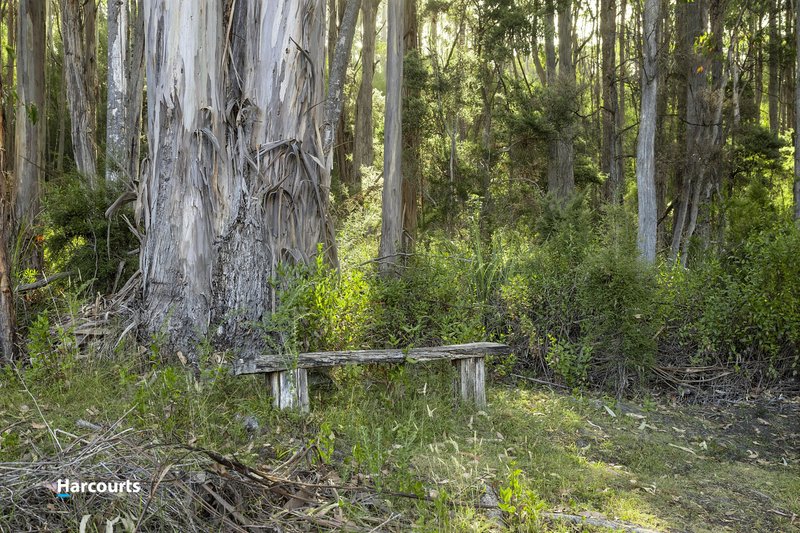 Photo - 8692 Huon Highway, Southport TAS 7109 - Image 14