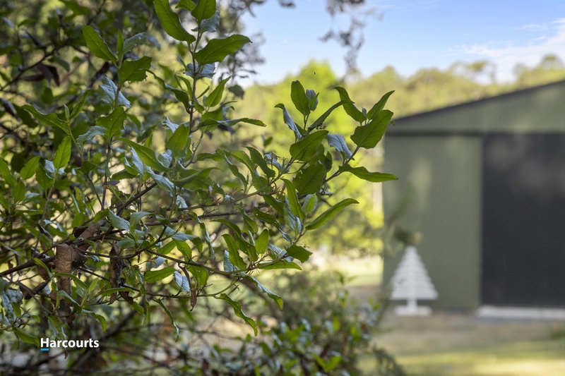 Photo - 8692 Huon Highway, Southport TAS 7109 - Image 20