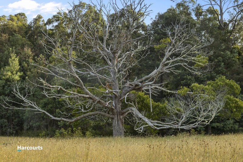 Photo - 8692 Huon Highway, Southport TAS 7109 - Image 21