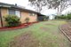 Photo - 87 Byng Road, Birkdale QLD 4159 - Image 14