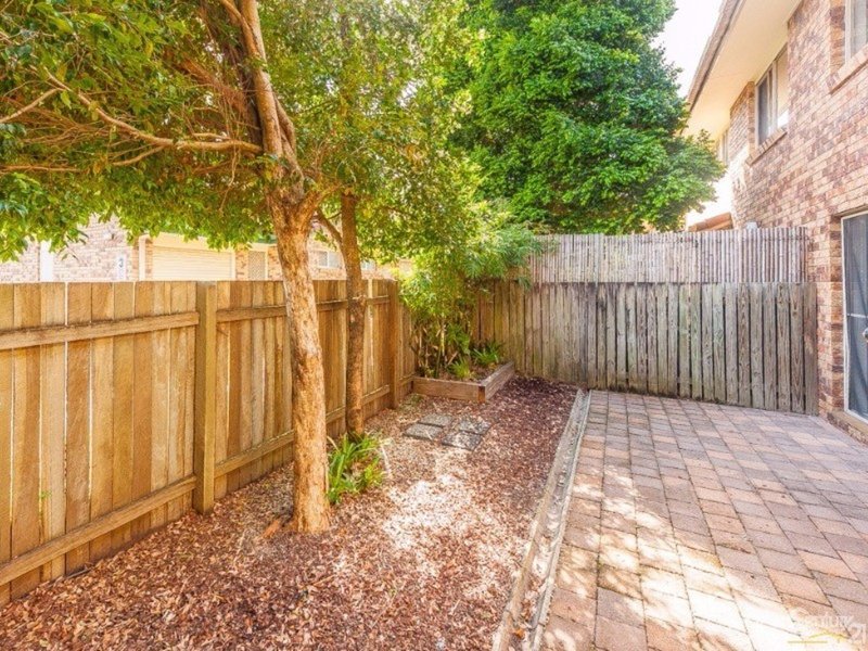 Photo - 8/7 Evans Street, Maroochydore QLD 4558 - Image 3