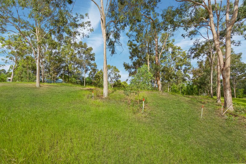 Photo - 87 Guara Grove, Pimpama QLD 4209 - Image 8