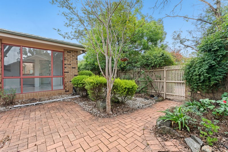 Photo - 8/7 Lofty Close, Palmerston ACT 2913 - Image 13