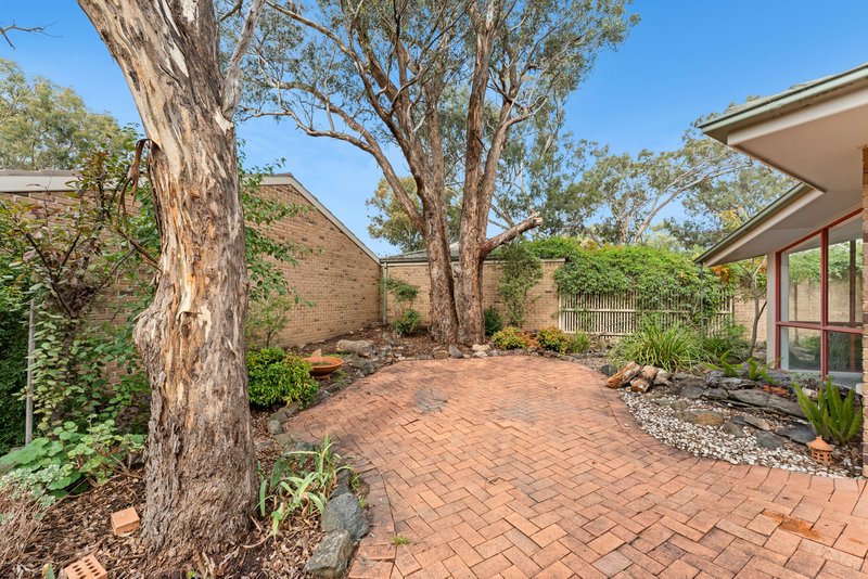 Photo - 8/7 Lofty Close, Palmerston ACT 2913 - Image 19