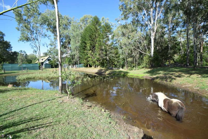 Photo - 87 Outlook Drive, Esk QLD 4312 - Image 21